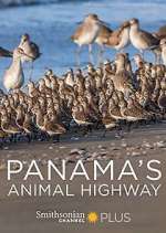 Watch Panama's Animal Highway Goojara