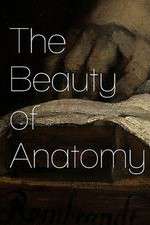 Watch The Beauty of Anatomy Goojara