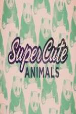 Watch Super Cute Animals Goojara
