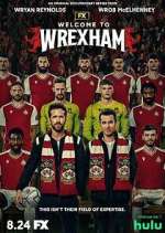 Watch Welcome to Wrexham Goojara