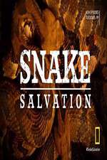 Watch Snake Salvation Goojara