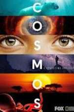 Watch Cosmos A SpaceTime Odyssey Goojara