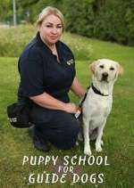 Watch Puppy School for Guide Dogs Goojara