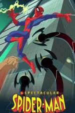 Watch The Spectacular Spider-Man Goojara