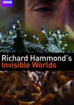 Watch Richard Hammond's Invisible Worlds Goojara