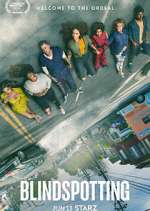 Watch Blindspotting Goojara