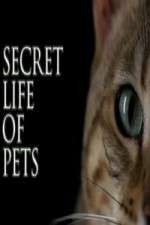 Watch The Secret Life of Pets Goojara