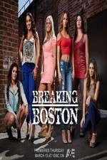 Watch Breaking Boston Goojara