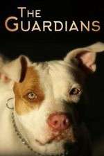 Watch The Guardians Goojara