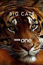 Watch Big Cats Goojara