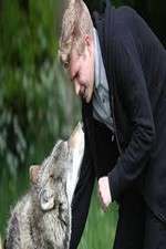 Watch Wolfblood Uncovered Goojara