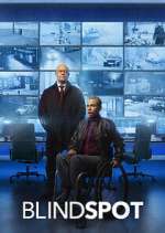 Watch Blindspot Goojara