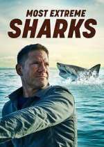 Watch Most Extreme Sharks Goojara