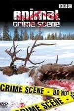 Watch Animal Crime Scene Goojara
