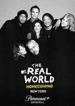 Watch The Real World Homecoming Goojara