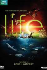 Watch Life Goojara