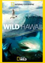 Watch Wild Hawaii Goojara