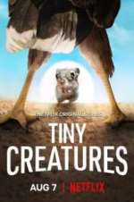 Watch Tiny Creatures Goojara