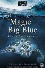 Watch The Magic of the Big Blue Goojara