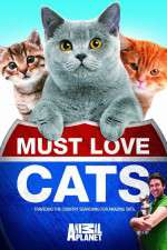 Watch Must Love Cats Goojara