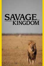 Watch Savage Kingdom Goojara