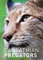Watch Carpathian Predators Goojara