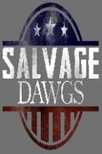 Watch Salvage Dawgs Goojara