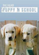 Watch Dog Squad: Puppy School Goojara