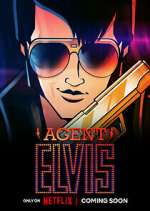 Watch Agent Elvis Goojara