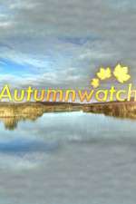 Watch Autumnwatch Goojara