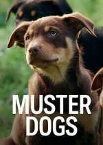 Watch Muster Dogs Goojara