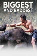 Watch Biggest and Baddest Goojara
