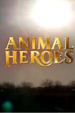Watch Animal Heroes Goojara