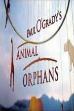 Watch Paul O'Grady's Animal Orphans Goojara