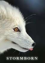 Watch Stormborn Goojara