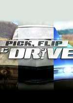 Watch Pick, Flip & Drive Goojara