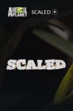 Watch Scaled Goojara