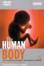 Watch The Human Body Goojara