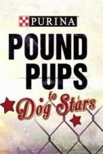 Watch Purina Pound Pups To Dog Stars Goojara