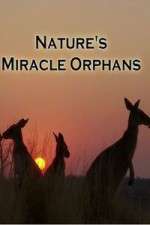 Watch Nature's Miracle Orphans Goojara