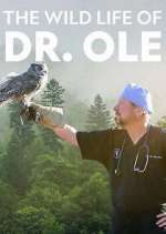 Watch The Wild Life of Dr. Ole Goojara