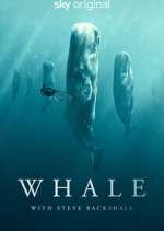 Watch Whale with Steve Backshall Goojara