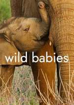 Watch Wild Babies Goojara