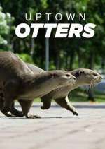 Watch Uptown Otters Goojara