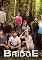 Watch The Bridge Goojara