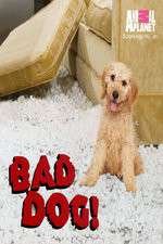 Watch Bad Dog! Goojara