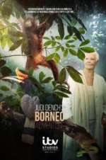 Watch Judi Dench\'s Wild Borneo Adventure Goojara