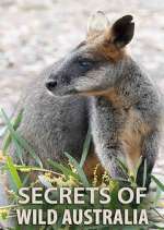 Watch Secrets of Wild Australia Goojara