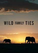 Watch Wild Family Ties Goojara