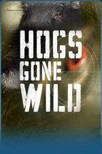 Watch Hogs Gone Wild Goojara